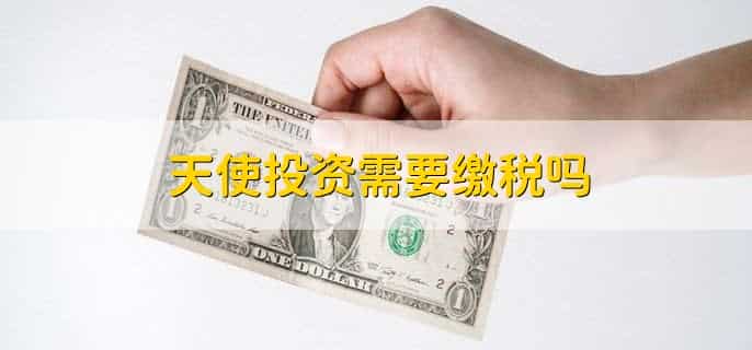 天使投资属于正规风险投资吗