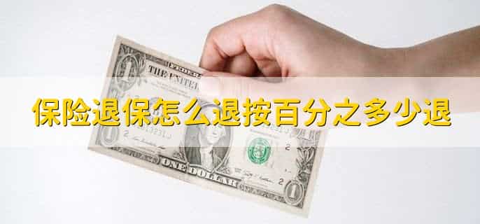 保险退保怎么退按百分之多少退,不同时期退保可以够退多少