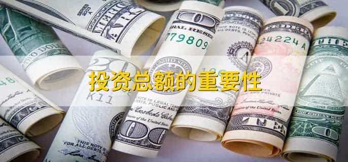 投资总额在财务报表哪里看