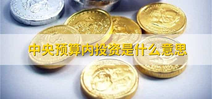 中央预算内投资是什么意思