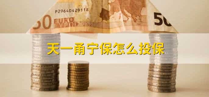 天一甬宁保怎么投保
