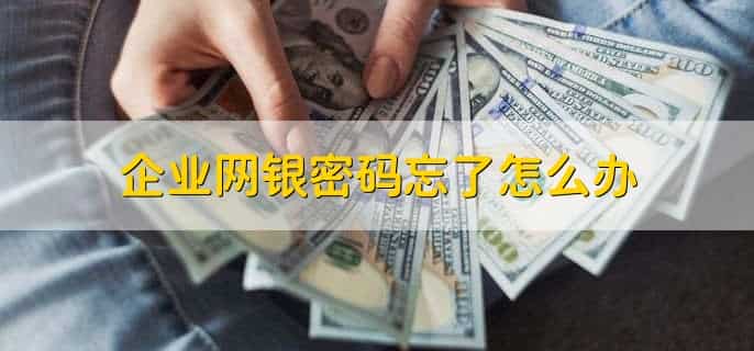 企业网银密码忘了怎么办，去银行柜台办理重置
