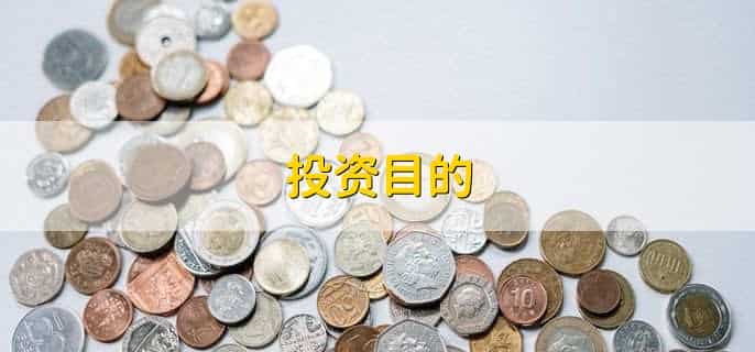投资目的