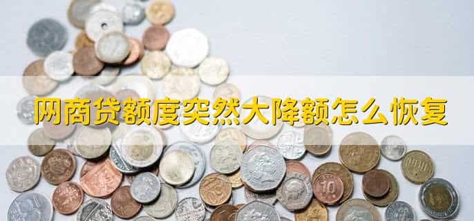 网商贷没有借款界面了