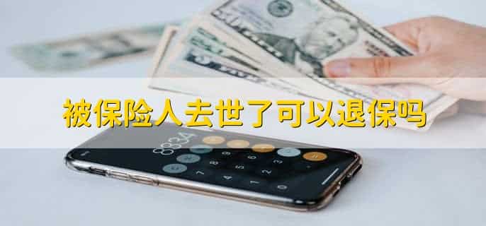 被保险人去世了可以退保吗,不可以