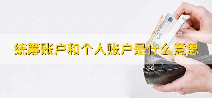 统筹账户和个人账户是什么意思