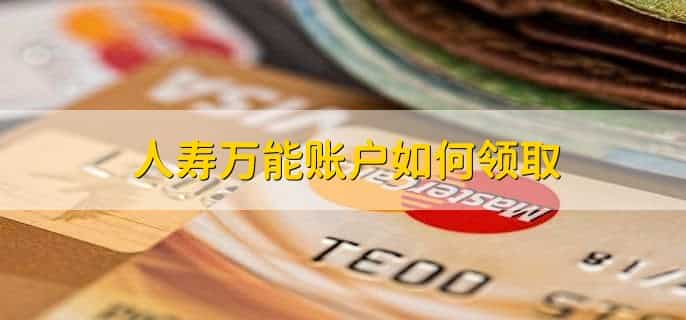 人寿万能账户什么意思