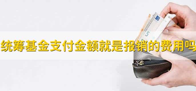 统筹基金支付金额就是报销的费用吗