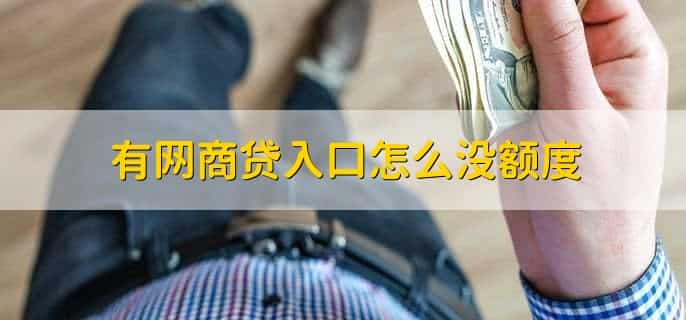 有网商贷入口怎么没额度，有以下八点原因