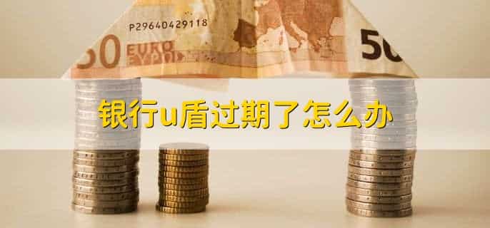 银行u盾怎么使用