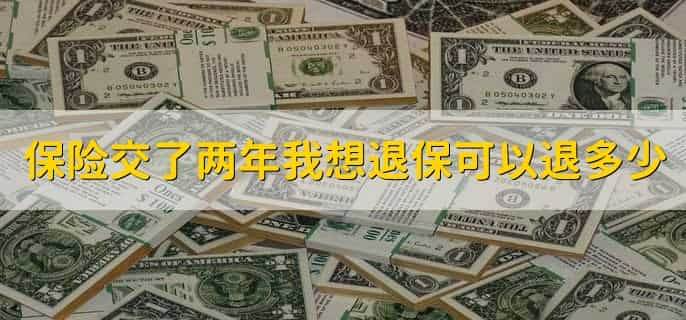 保险交了两年我想退保可以退多少,有以下4种情况