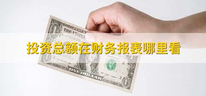 投资总额在财务报表哪里看