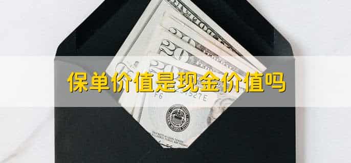 万能险保单价值6万能退6万吗