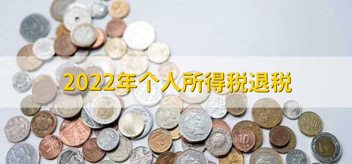 2022年个人所得税退税