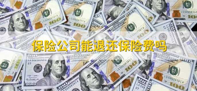 准备退保结果扣了续期怎么办