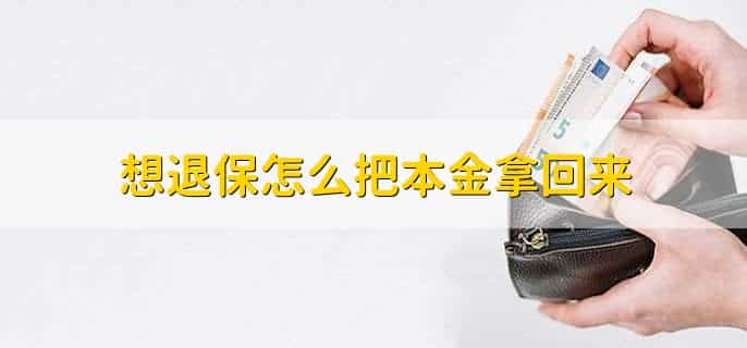 想退保怎么把本金拿回来,退保钱什么时候到账