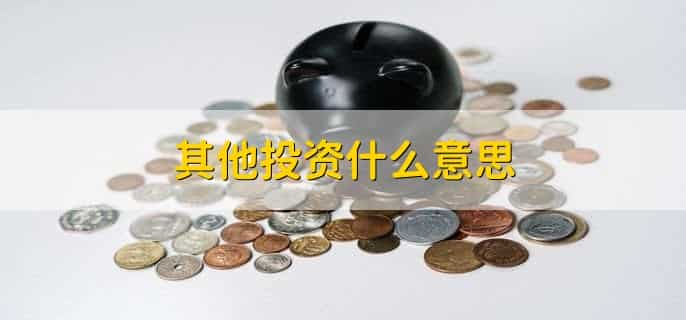 其他投资包括什么项目