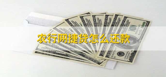 农行的网捷贷必须12个月还吗
