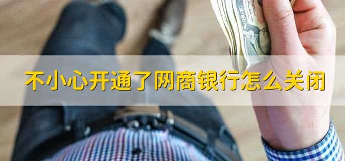 为什么我的网商银行没有额度了
