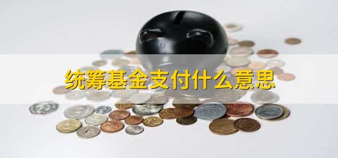 统筹基金支付什么意思,由社保统筹基金支付的项目