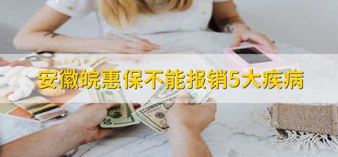 安徽皖惠保不能报销5大疾病,有以下五点