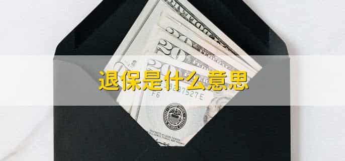 退保是什么意思