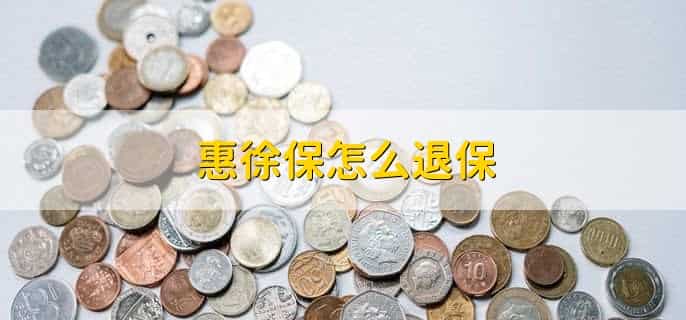 惠徐保怎么退保