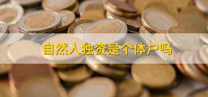 自然人独资和自然人投资或控股有什么区别