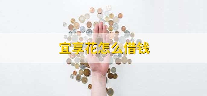 宜享花怎么借钱