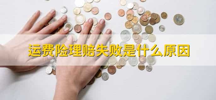 怎么看运费险退给我了没