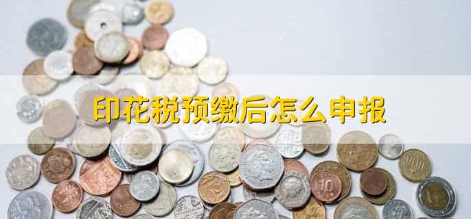 印花税税源采集不了