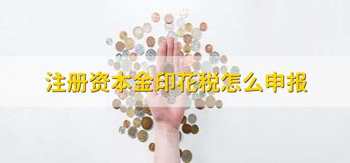 注册资本金印花税怎么申报