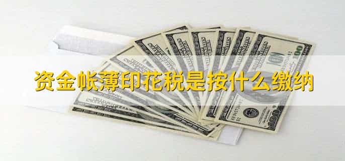 资金帐薄印花税是按注册资金还是按实收资本缴纳，注册资金