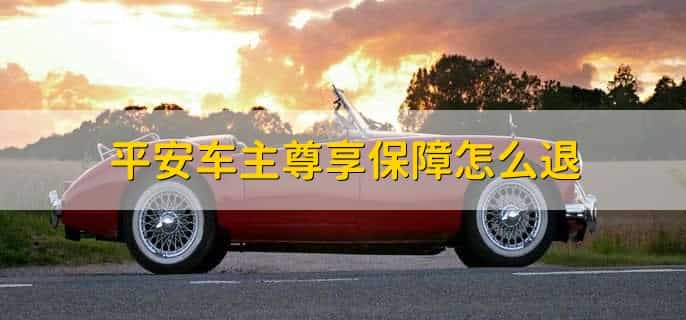 平安车主尊享保障可以不买吗