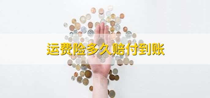 运费险多久赔付到账