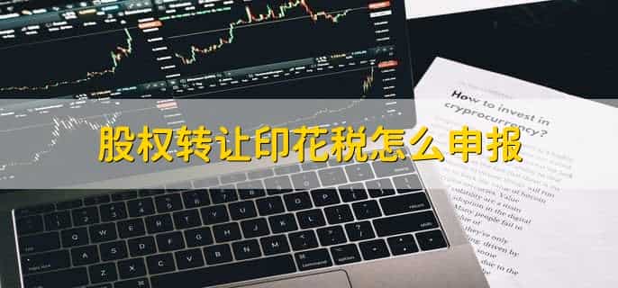股权转让印花税怎么申报