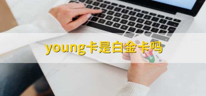 邮政30万够办白金卡么