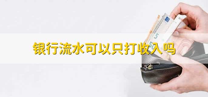 一个月流水是什么意思,银行流水能够代打吗