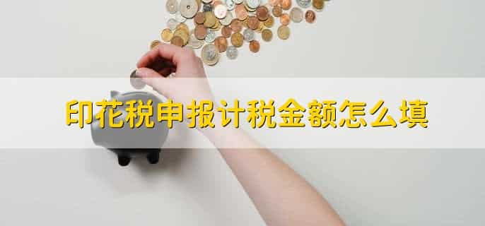 印花税申报计税金额怎么填