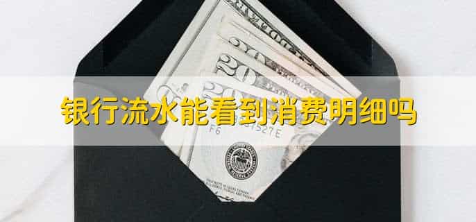 银行流水能看到消费明细吗