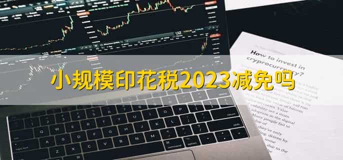 小规模印花税2023减免吗
