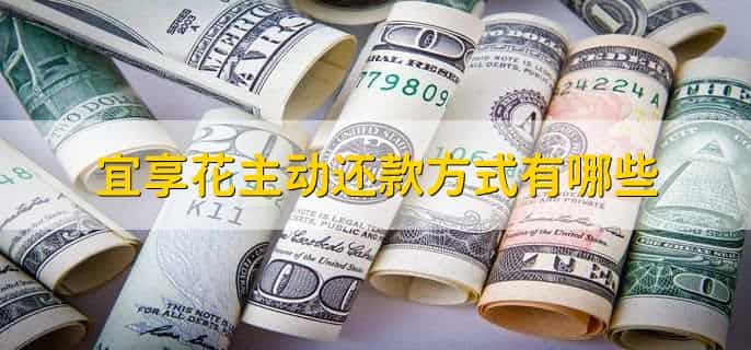 宜享花主动还款还不了
