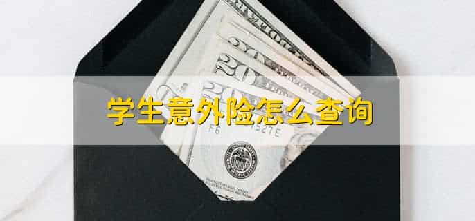 学生意外险怎么查询