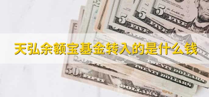 天弘余额宝基金转入的是什么钱