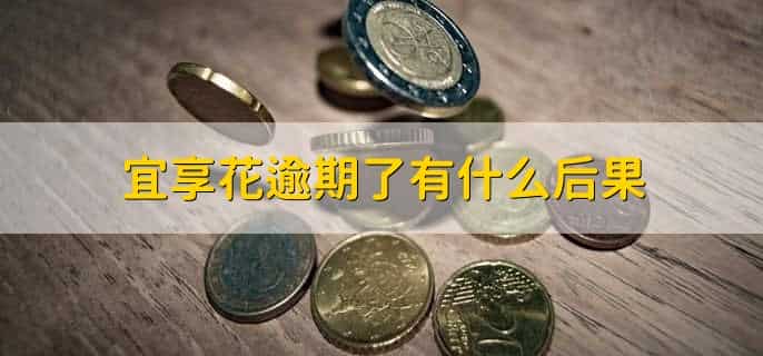 宜享花不小心逾期一天怎么办