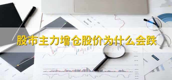 股市柚子是什么意思，游资