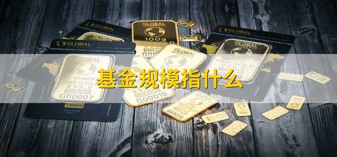 基金规模指什么，基金的资产总额