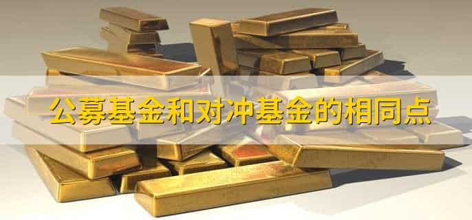 公募基金要求