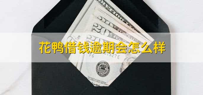 花鸭借钱有额度15000借不出来