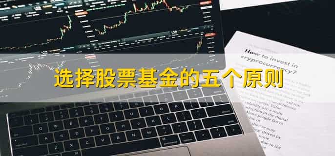 怎么选择股票基金